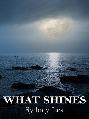 cover image of What Shines